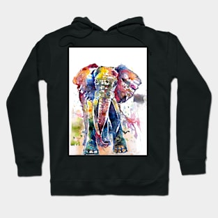 Big elephant Hoodie